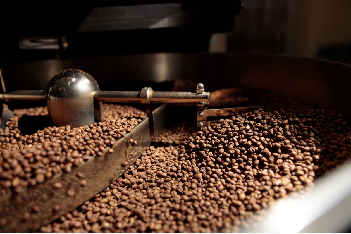 Freshly roasted coffee beans being stirred inside the cooling tray of a large commercial roaster.